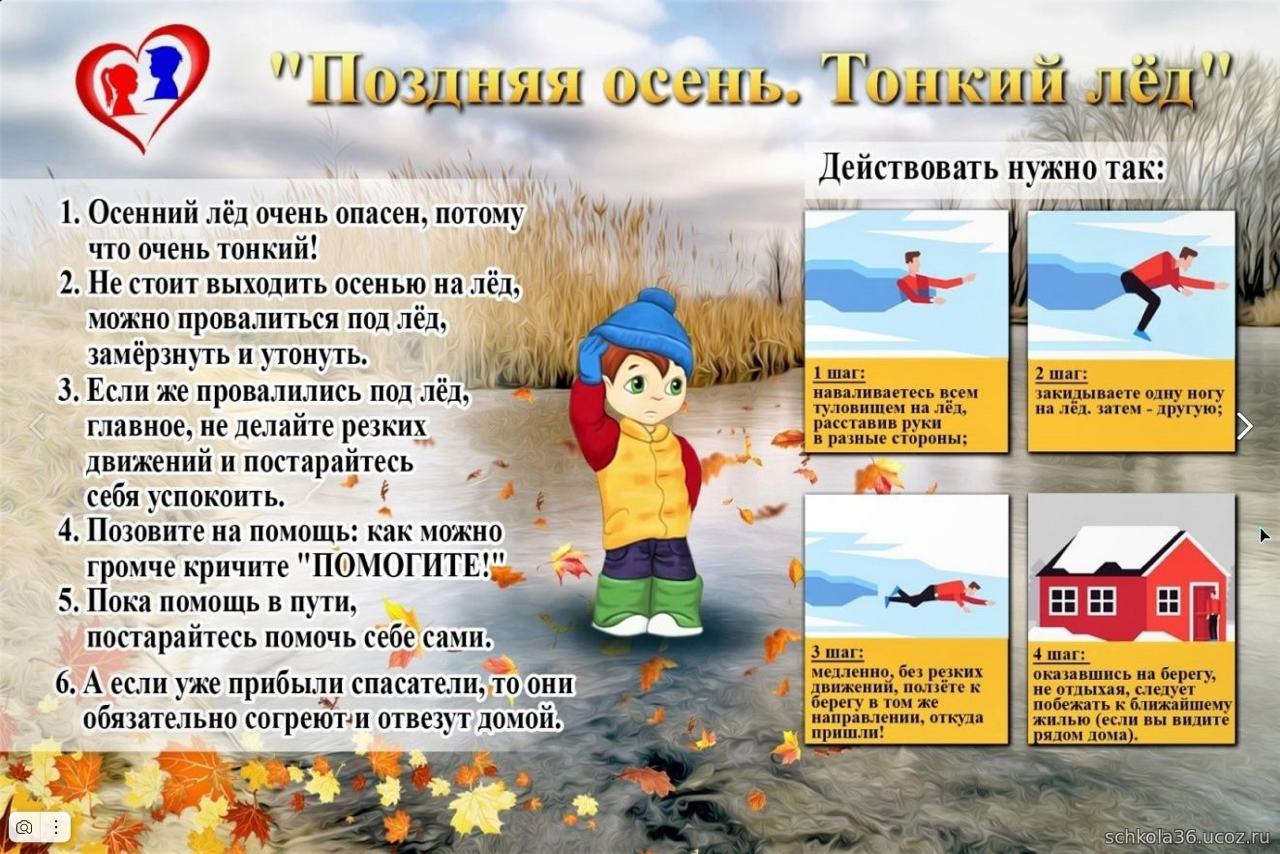 Изображение WhatsApp 2024-10-30 в 08.05.20_f18e2509.jpg